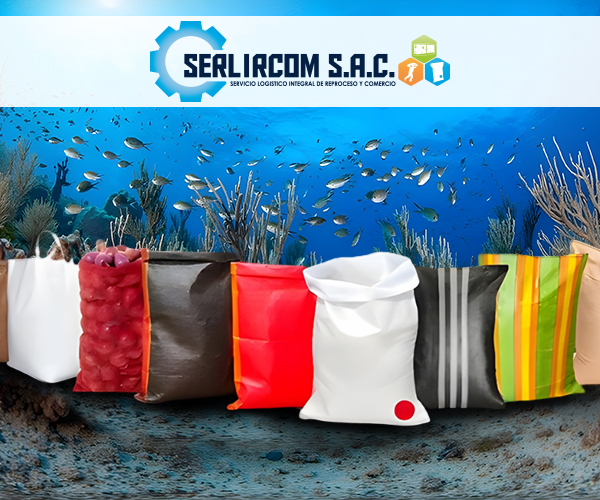 imagen-nosotros-serlircom